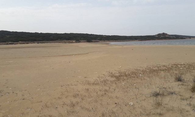 Πρωτόγνωρες εικόνες: Η άμπωτη «ένωσε» την Πάρο με το νησί του Οικονόμου