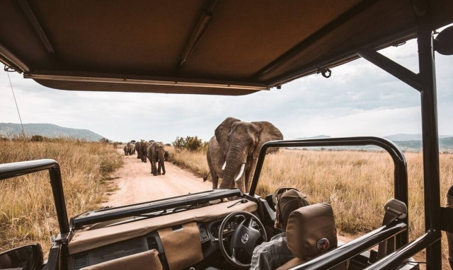 Σαφάρι στην Κένυα: Τα «μυστικά» για μία αξέχαστη εμπειρία