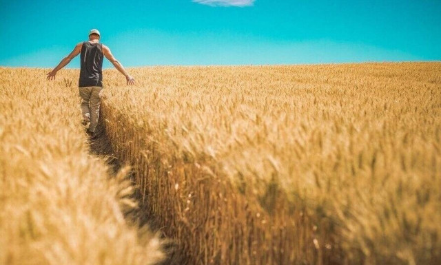 ΕΛΣΤΑΤ: Ξεκίνησε η Απογραφή Γεωργίας - Κτηνοτροφίας 2021
