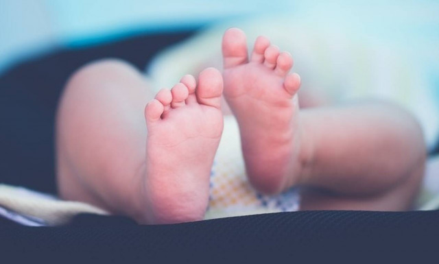 Αμαλιάδα: Η θέση της ΕΛΑΣ για τα νεκρά βρέφη - «Δεν φαίνεται εγκληματική ενέργεια - Λεπτή η υπόθεση»