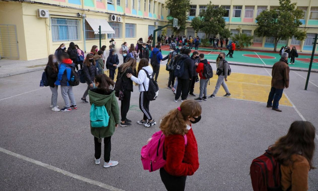 Lockdown: Αίτημα για άνοιγμα σχολείων και λιανεμπορίου στις 5 Απριλίου - Τα self test και η απάντηση