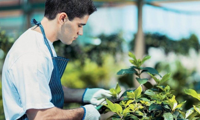 Υπουργείο Αγροτικής Ανάπτυξης: 957 θέσεις γεωπόνων και εργατοτεχνιτών