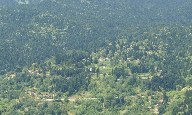 Ρεπορτάζ Newsbomb.gr - Τρίκαλα: Έτσι ξεκίνησε η διασπορά στα Στουρναρέϊκα - «Υπήρξε χαλάρωση»