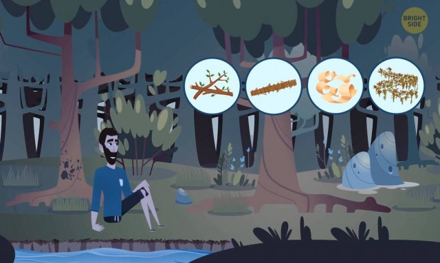 Δώδεκα γρίφοι που αν τους λύσεις θα φανεί το πόσο… Survivor είσαι (video)