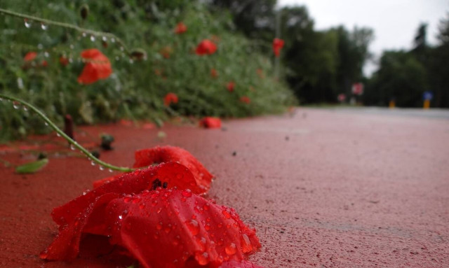 Καιρός - Μαρουσάκης: Χωρίζεται ξανά η χώρα στα δύο - Άνοιξη και χειμώνας μαζί