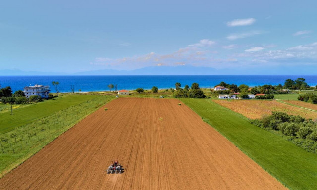 Καιρός τώρα: Επιστρέφει η άνοιξη - Σαββατοκύριακο με 25 βαθμούς