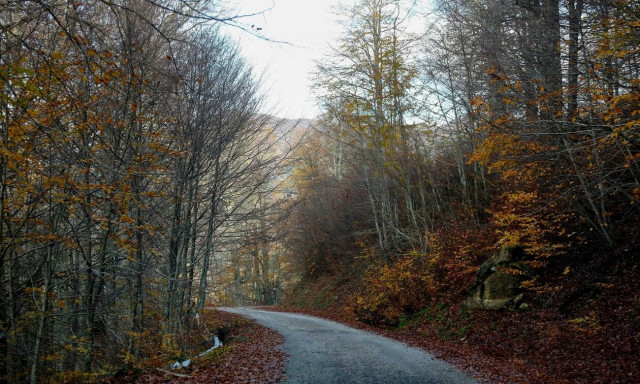 Δασικοί χάρτες: Οριζόντια παράταση έξι μηνών στη διαδικασία υποβολής αντιρρήσεων