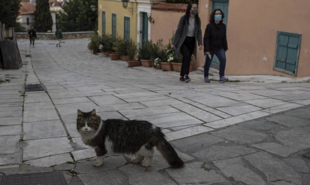 Κρούσματα σήμερα: Πόσα θα είναι μετά από ένα Σαββατοκύριακο χαλάρωσης;