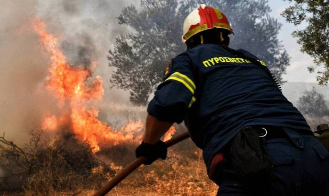 Φωτιά ΤΩΡΑ στη Λακωνία