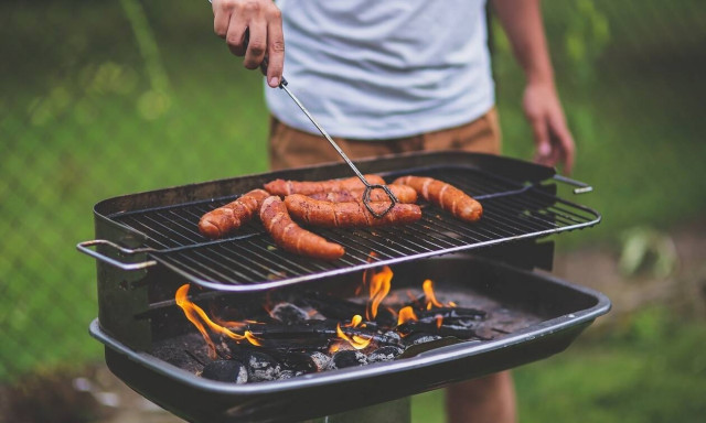 Έκαναν μπάρμπεκιου στον κήπο και βρέθηκαν αντιμέτωποι με «τέρας» (photo)