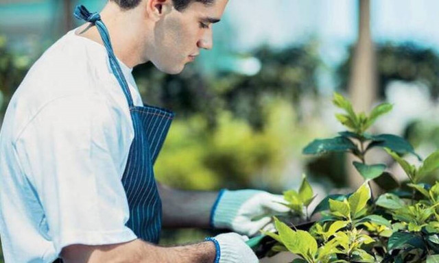 ΕΛΓΑ: Έρχονται προσλήψεις έκτακτων γεωπόνων