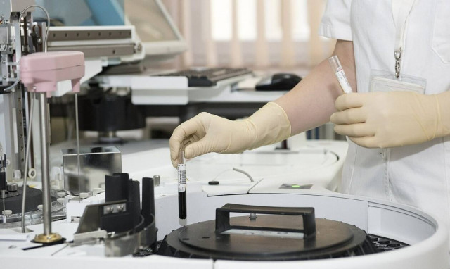 Επιστήμονες άνοιξαν «το κουτί της Πανδώρας»: Ένωσαν έμβρυα μαϊμούδων με κύτταρα ανθρώπων!