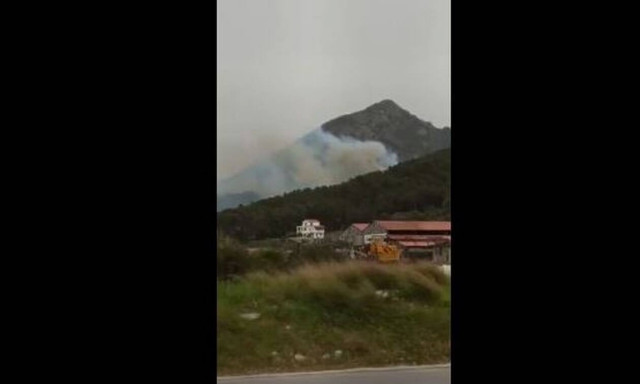 Φωτιά στη Σάμο - Συναγερμός στην Πυροσβεστική (vid)