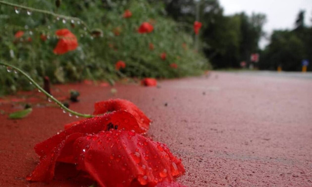 Καιρός για Πάσχα: Η πρόγνωση Αρνιακού στο Newsbomb.gr - Καλοκαιρία με «διαλείμματα» βροχών