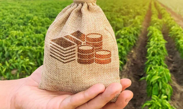 Καθορίστηκε η συνδεδεμένη ενίσχυση για τα σπαράγγια