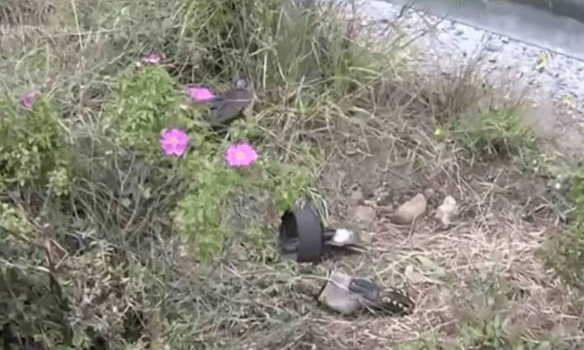 Τροχαίο Κρήτη: Συγκλονίζει φίλος του ζευγαριού - Χαροπάλευε για 5 μέρες δίπλα στο νεκρό σύζυγό της