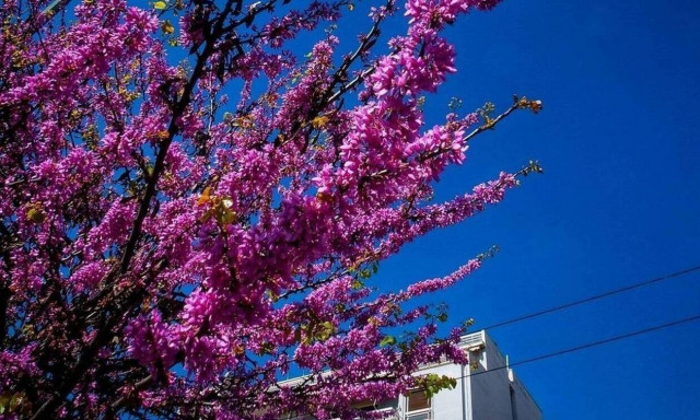 Καιρός Πάσχα 2021: Πρόγνωση για όλη τη Μεγάλη Εβδομάδα - Με τι θερμοκρασίες θα σουβλίσουμε