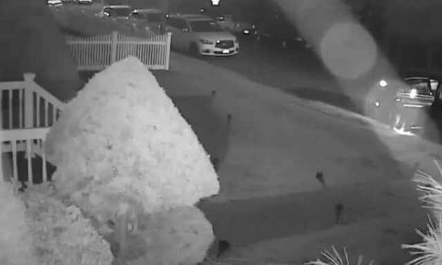 ΗΠΑ: Φρικτή επίθεση με οξύ σε 21χρονη - Συγκλονίζει ο πατέρας της