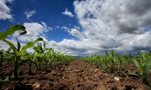 Μέχρι 15 Ιουνίου οι αιτήσεις των εργοδοτών για τους μετακλητούς εργάτες γης από τρίτες χώρες