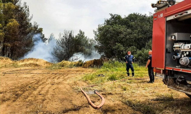 Φωτιά ΤΩΡΑ στην Ηλεία