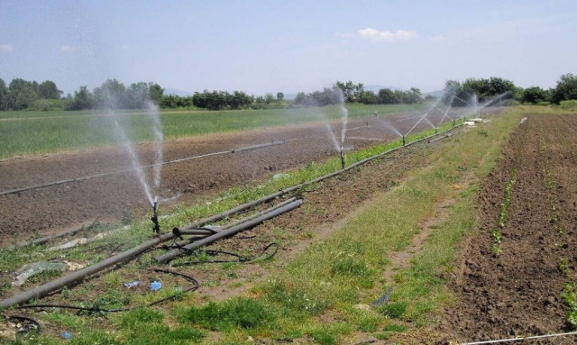 ΑΣΕΠ: 32 θέσεις εργασίας για υδρονομείς στον δήμο Θάσου - Από σήμερα (30/4) οι αιτήσεις