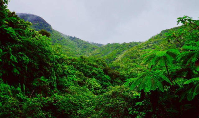 Τα τελευταία 10 χρόνια η Αμαζονία της Βραζιλίας εκπέμπει περισσότερο διοξείδιο απ’ όσο απορροφά