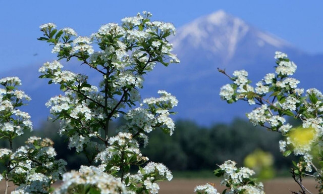 Καιρός: Πάσχα με θερμοκρασίες ρεκόρ για την εποχή – Ποιες περιοχές θα «βράσουν»