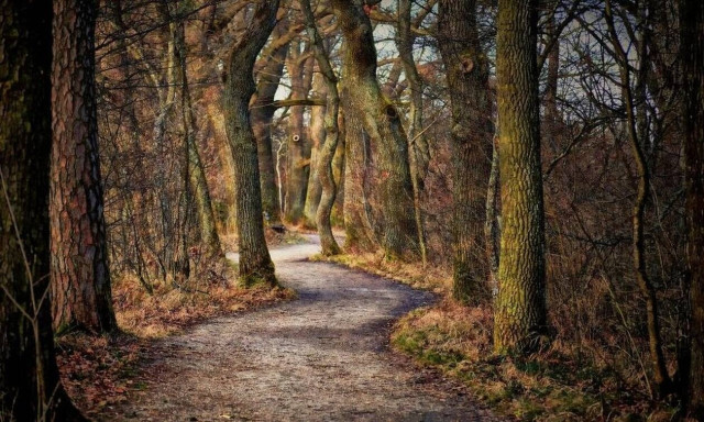 Τραγωδία στη Βρετανία: 19χρονος πέθανε από το κρύο - Τον είχαν διώξει οι γονείς του