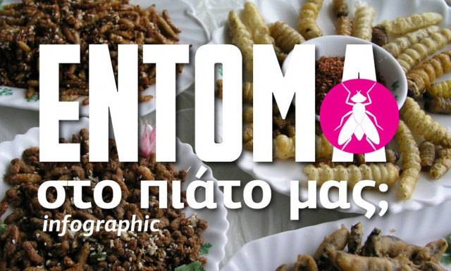 Έντομα στο πιάτο μας; Απόφαση σταθμός της Ε.Ε -  Δείτε το Infographic του Νewsbomb.gr