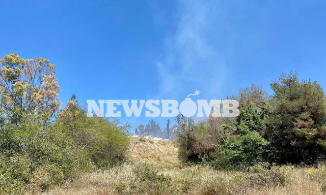 Ρεπορτάζ Newsbomb.gr: Μεγάλη φωτιά στην Αργυρούπολη (Pics&vid)