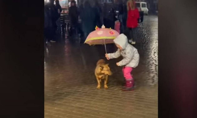 Το video που έγινε viral: Κοριτσάκι προστατεύει το σκύλο του από τη βροχή