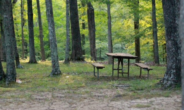 ΟΑΕΔ: Μέχρι αύριο (13/05) οι αιτήσεις του κατασκηνωτικού προγράμματος - Ποιοι είναι οι δικαιούχοι