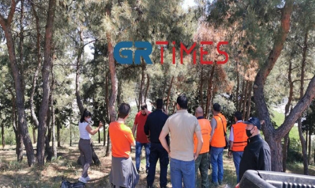 αγριογούρουνα