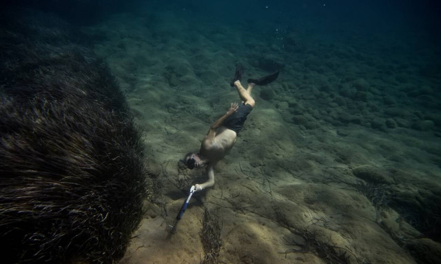 Θάνατος ψαροντουφεκά