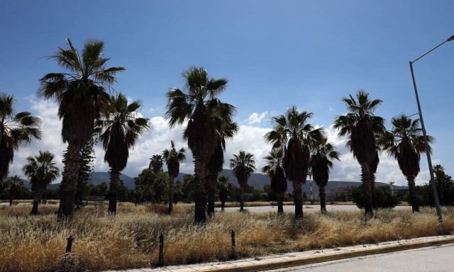 Το ΣτΕ έδωσε το «πράσινο φως» για έργα στο Μητροπολιτικό Πάρκο του Ελληνικού