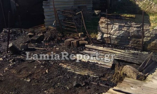 Φωτιά σε στάνη στη Λοκρίδα (pics)