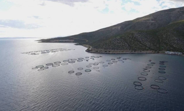 Οι προτάσεις της Κομισιόν για τη βιώσιμη γαλάζια οικονομία στην ΕΕ