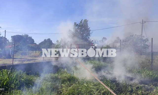 Φθιώτιδα: Συναγερμός για φωτιά στην παραλία Τραγάνας - Στις αυλές των σπιτιών οι φλόγες