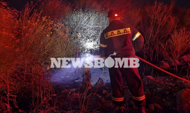 Φωτιά ΤΩΡΑ: Μεγάλη πυρκαγιά στον Διόνυσο