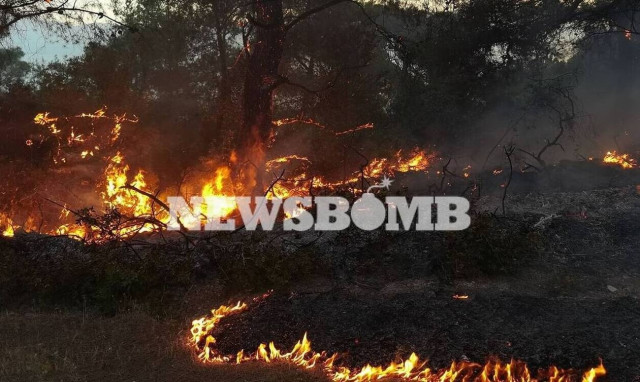 Φωτιά στην Κορινθία: SMS από το 112 για εκκένωση από Δερβένι έως Πευκενέα