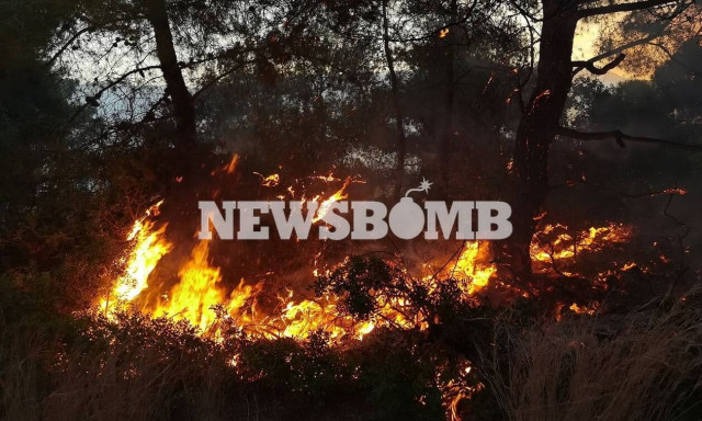 Φωτιά στο Σχίνο: Εκτός ελέγχου το πύρινο μέτωπο - Ενισχύονται οι πυροσβεστικές δυνάμεις