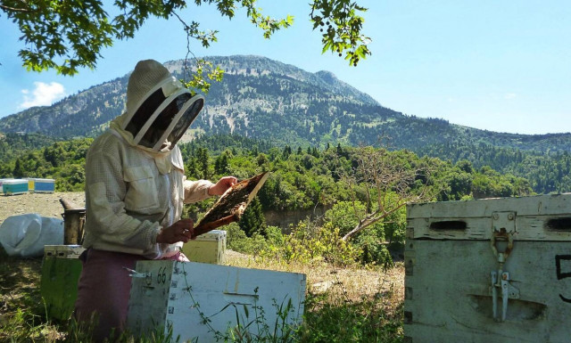 Σαν το θυμαρίσιο μέλι της Κρήτης δεν έχει!