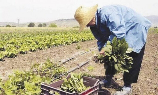 ΟΠΕΚΑ: Αναλυτικά το πρόγραμμα της Αγροτικής Εστίας για το 2021 - Πότε ξεκινούν οι αιτήσεις