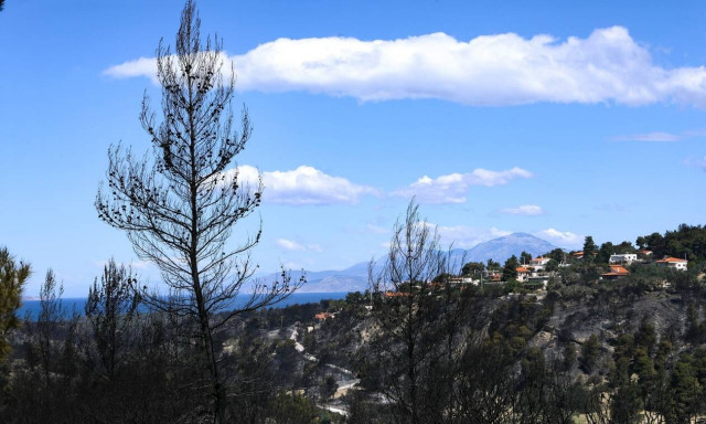 Πρόεδρος πυροσβεστών στο Newsbomb.gr: Φτάνει πια με τους εμπρησμούς από αμέλεια