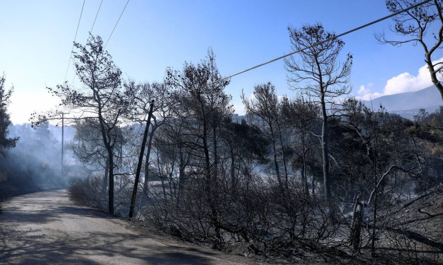 Φωτιά στα Γεράνεια Όρη: Στο Αλεποχώρι κλιμάκιο της κυβέρνησης την Κυριακή