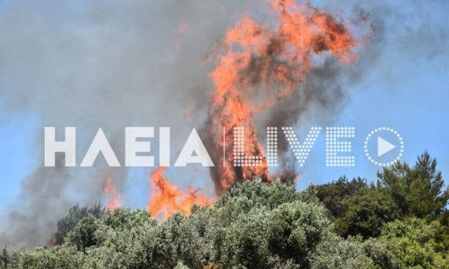 Φωτιά ΤΩΡΑ στην Ηλεία