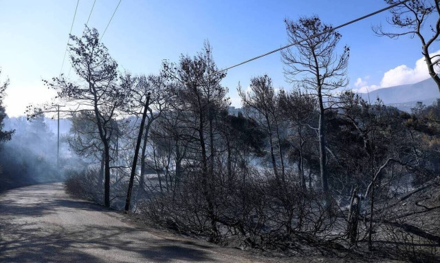 Roughly 7,128 hectares burned in the major wildfire on Mt. Gerania