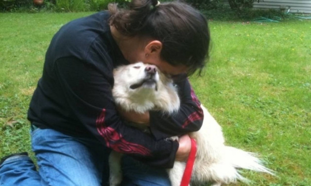 Εγκρίθηκε στο ΣτΕ η μεταφορά αρμοδιοτήτων για τα ζώα συντροφιάς