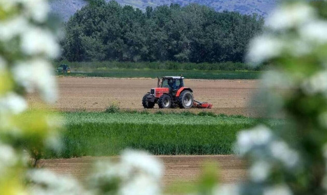 Υπουργείο Αγροτικής Ανάπτυξης: Στην τελική ευθεία οι αποζημιώσεις λόγω πανδημίας