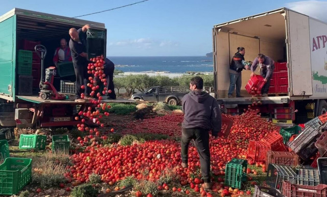 Ο πόλεμος της ντομάτας στην Κρήτη και οι… γάμοι